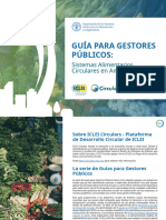 Iclei Circulars Practitioners Handbook Es 2