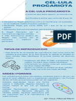 Infografia 