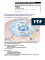 Lect 4 Notes - B Cell Effector Function & T Cell Development