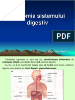 Lectie 20 Anatomia Sistemului Digestiv.