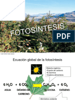 Fotosíntesis PDF (1)