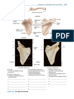 Dokumen - Pub Laboratory Manual For Anatomy and Physiology 6th Edition 6 978 1119304142 (151 200)