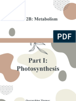 Unit 2B - Metabolism - Photosynthesis