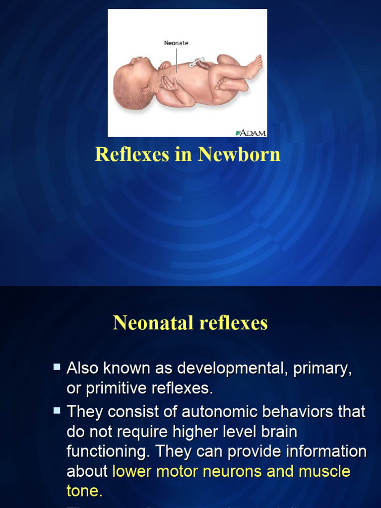 Understanding Newborn Reflexes | PDF | Anatomical Terms Of Motion ...