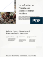 Introduction To Poverty As A Microeconomic Problem
