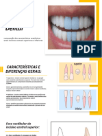 Anatomia Dental 1