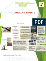 Mapa Concep Odontologia Forens