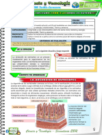 B-4º Act 2-Cyt-und 5- Sem 2