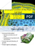 Lecture 14 Plant Cell Wall 2019