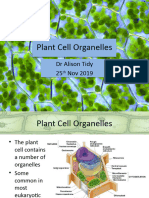 Lecture 15 Plant Cell Organelles 2019