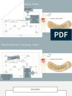 Presentation 1