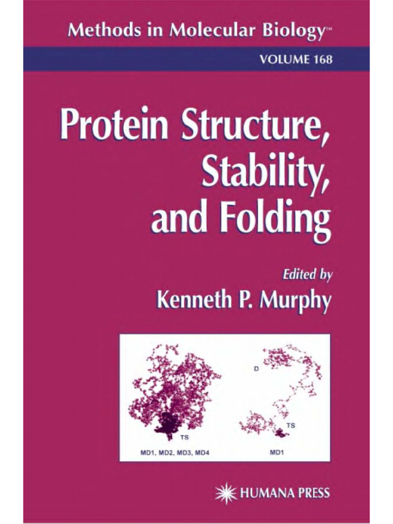 Protein Structure, Stability, and Folding | PDF