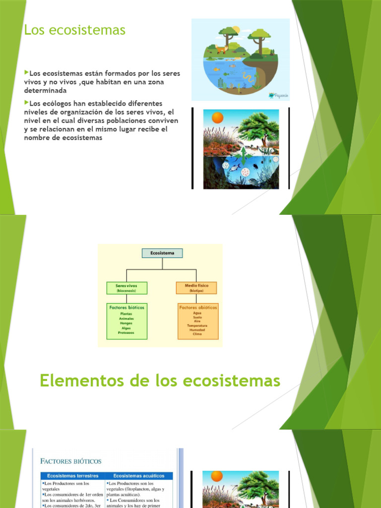 Los Ecosistemas | PDF | Ecosistema | Suelo