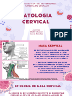 Patologia Cervical