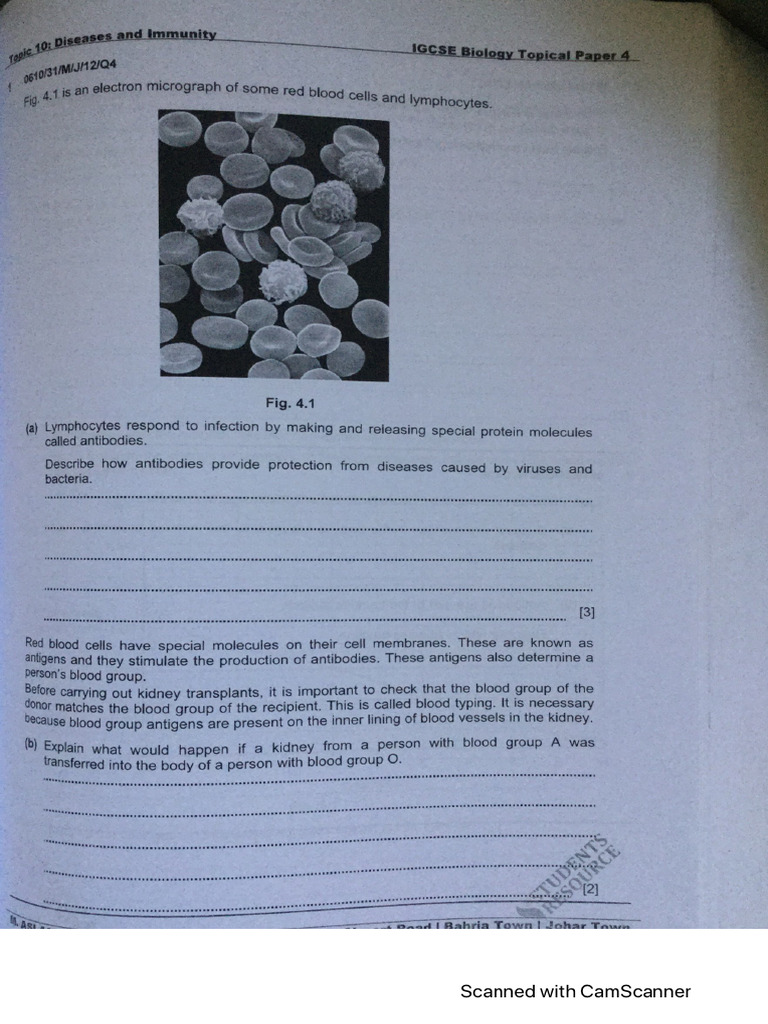 Disease and Immunity | PDF