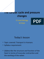 CIE OL Bio Cardiac Cycle