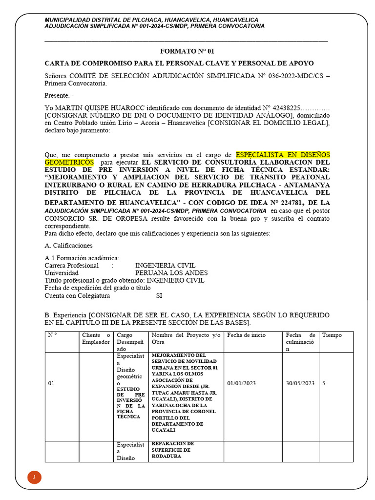 Formato N | Descargar gratis PDF | Documento de identidad
