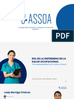 Webinar El Rol de La Enfermera Ocupacional - Assoa