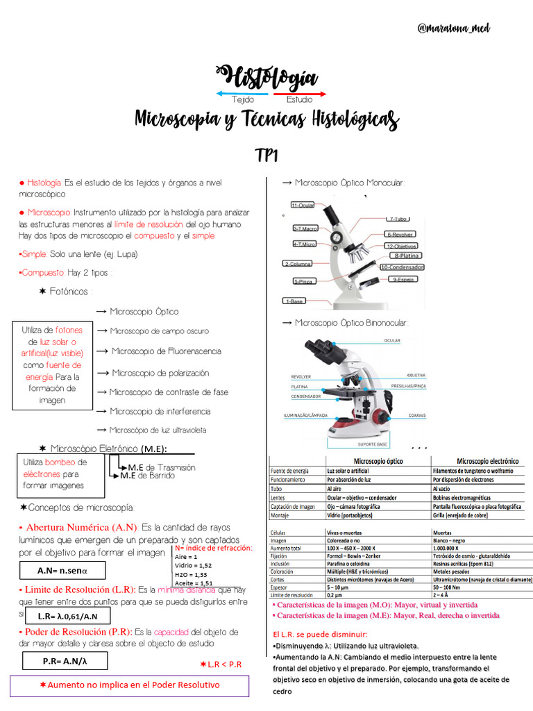 Técnicas y Microscopía en Histología | PDF | Microscopio | Resolución ...