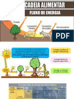 Fluxo de Energia