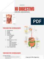 S12 - Tubo Digestivo