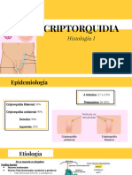 CRIPTORQUIDIA