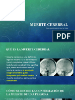 Muerte Cerebral Biologia y Teologia Autoguardado....