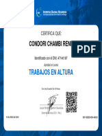 Curso Trabajos en Altura - Doc 47140187 - Condori Chambi Rene