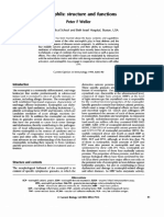 Eosinophils: Structure and Peter F Weller Functions