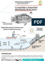 Sem. Ecologia Acuatica Valencia