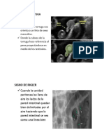 SIGNOS RADIOLOGICOS 1