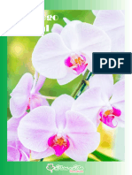 Catálogo Inicial - Floricultura Flores e Flor