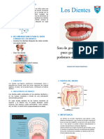 Los Dientes