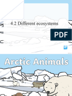 Arctic Animals