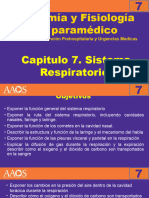 Cap.7 Sistema Respiratorio