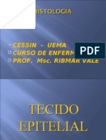 Tecido Epitelial Enfermagem Uema