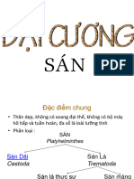 Dai Cuong San Dai