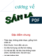 1.dai Cuong Ve San La