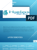 Plan Comercial y Estrategico HIELOS DEL SUR