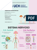 Sistema Nervioso (3)