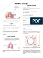 RESPIRATORIA