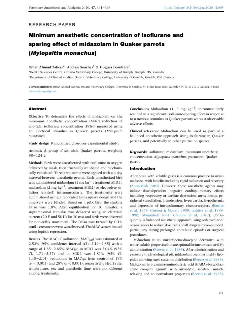 Parrots Midaz Sparing Iso | PDF | Anesthesia | Midazolam