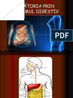 Calatoria Prin Sistemul Digestiv