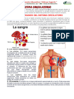 Alfonsougarte Cubicol Pe