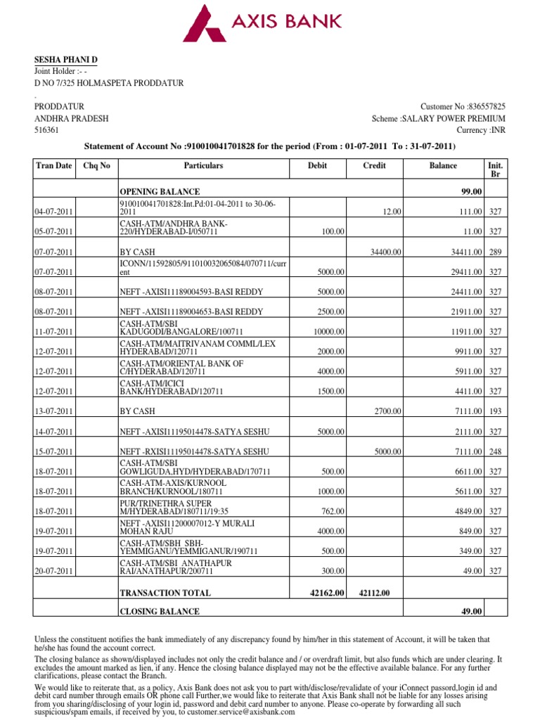Account Statement Debit Card Banks
