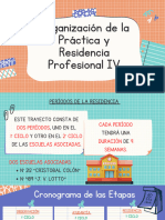 Organización de La Práctica y Residencia Profesional IV