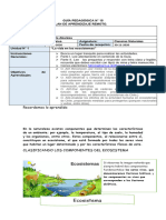 Guía N°15 Cuarto Básico Ciencias