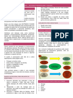 Nutrição Aplicada À Odontologia