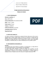 Informe Neuropsicopedagogico