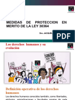 NUEVA PRESENTACION MEDIDAS DE PROTECCION 